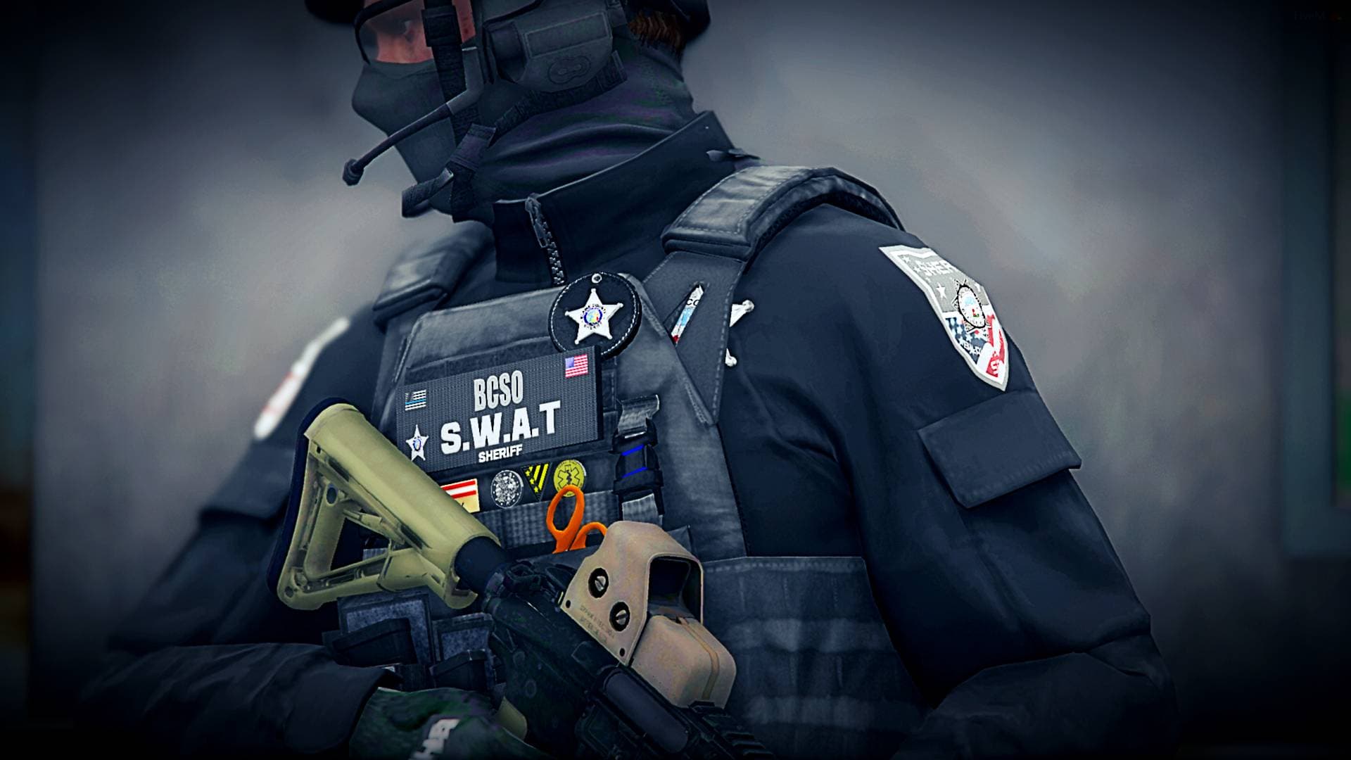 Blaine County Sheriff's Office logo